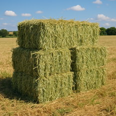 Oat Hay Bales
