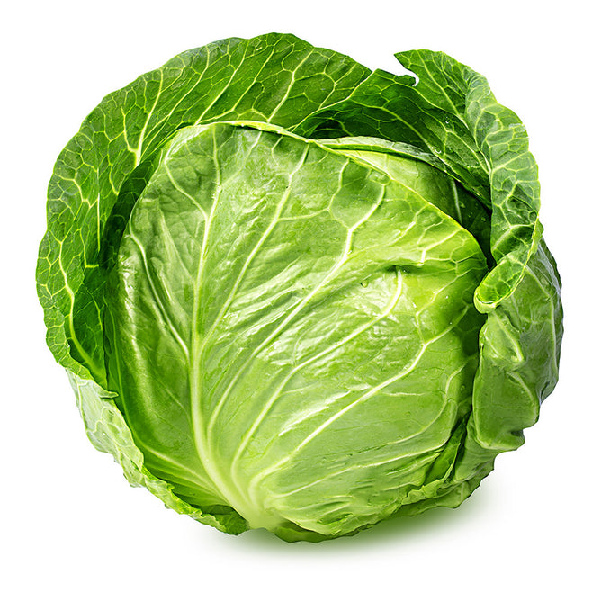 Cabbage